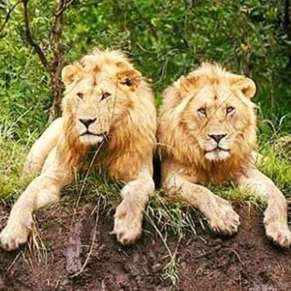 Meet your Posher, Rick - Picture 1 of 1